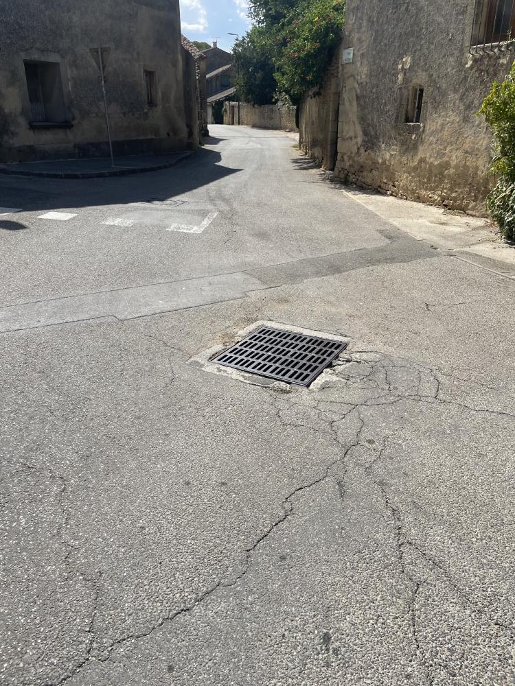 IMG0502